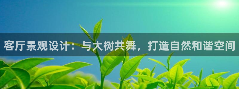 天顺娱乐土70648抠