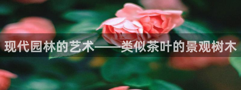 天顺娱乐郑7O667