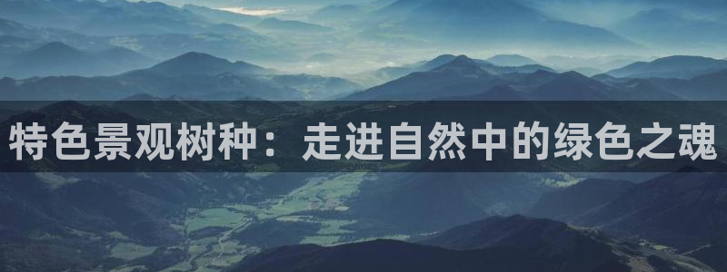 天顺娱乐脱943994