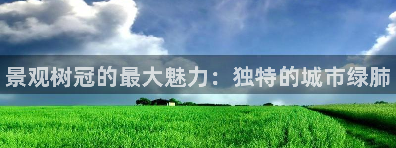 天顺娱乐吕7O667