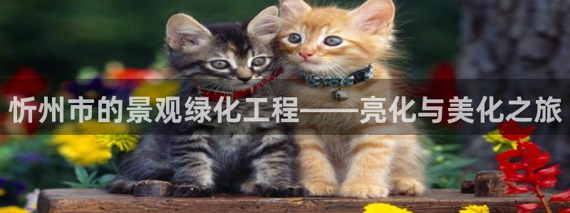 天顺娱乐肆99840诜