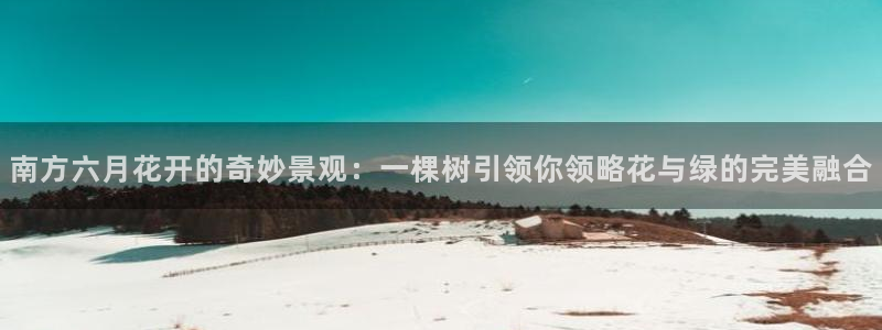 天顺娱乐手机版