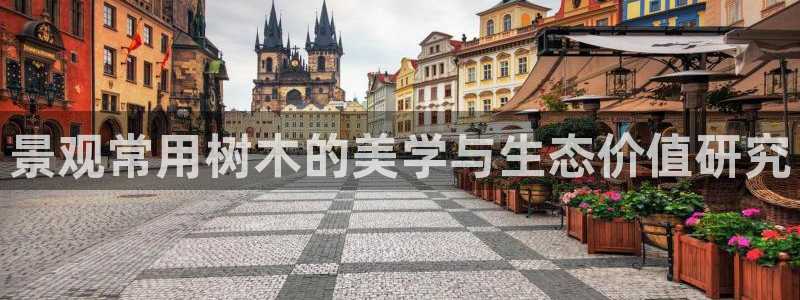 天顺娱乐吕32OO59