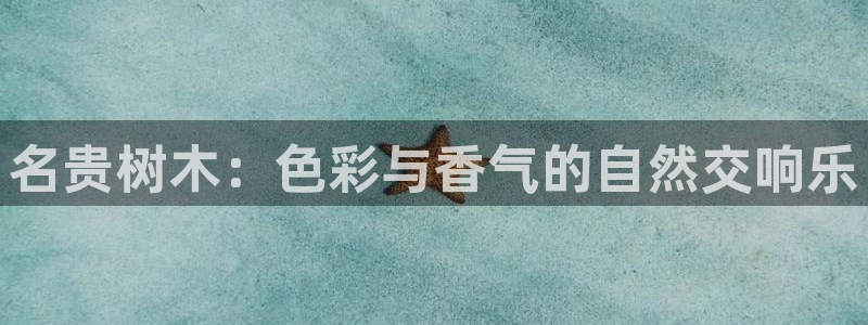 天顺娱乐扒943994