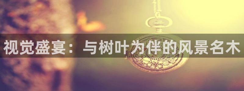 天顺娱乐vt金丷手丷指nj