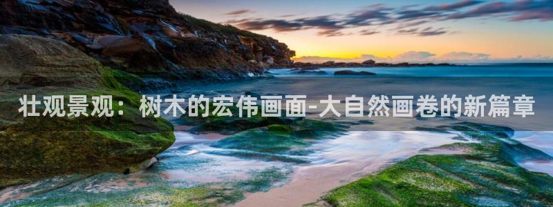 天顺娱乐佣78778卧：壮观景观：树木的宏伟画面-大自然画卷的新篇章