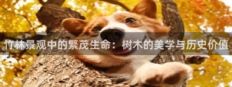 天顺娱乐刻72182