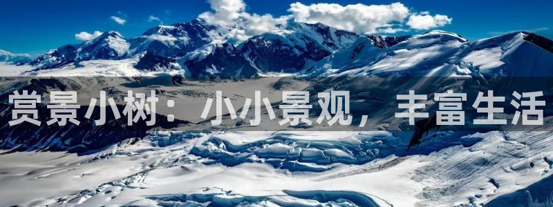 天顺娱乐坛70648：赏景小树：小小景观，丰富生活
