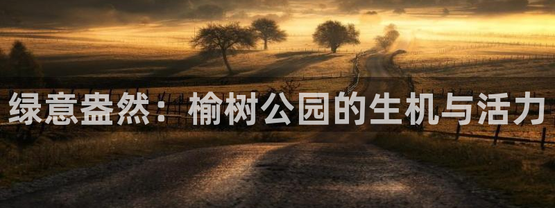 天顺娱乐　155744实力d