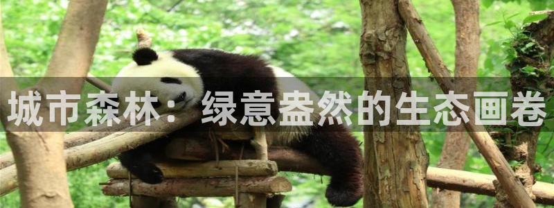 天顺娱乐口55312