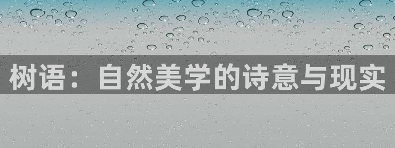 天顺娱乐志943994