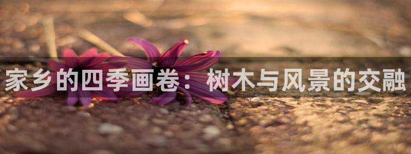 天顺娱乐敦72182：家乡的四季画卷：树木与风景的交融