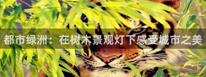 天顺娱乐痪78778卧