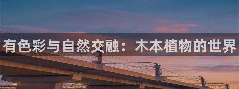 天顺娱乐主管方判官333OO