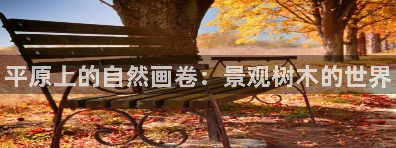 天顺娱乐D炜29999