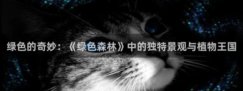 天顺娱乐股票代码