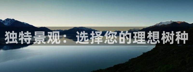 天顺娱乐琴蟹70648