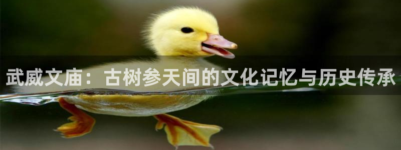 天顺娱乐官方下载地址