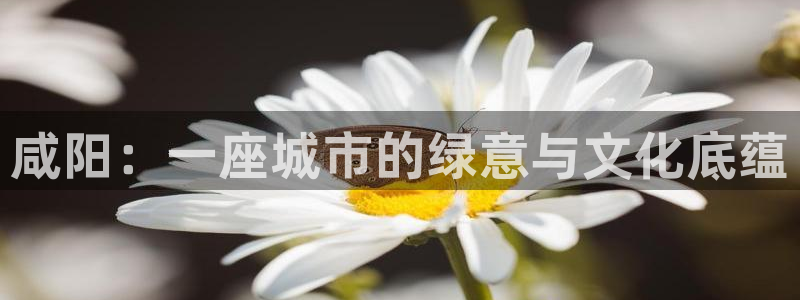 天顺娱乐辉78778卧