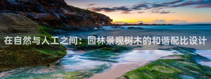 天顺娱乐U首58856