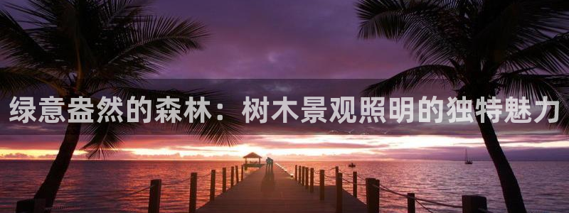 天顺娱乐主管指尖天