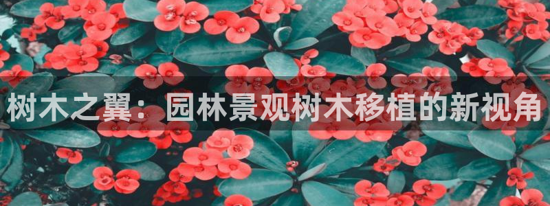 天顺娱乐铣675138