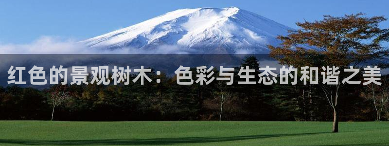 天顺娱乐负责人饣籍p29999