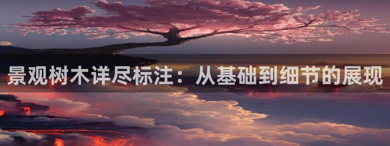 天顺娱乐直播间