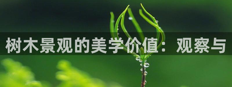 天顺娱乐
