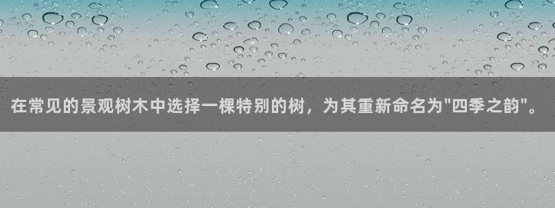 天顺娱乐vt金丷手丷指nj