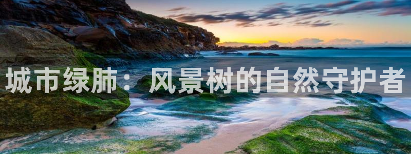 天顺娱乐跟团队