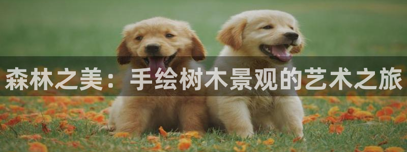 天顺娱乐甘70 48