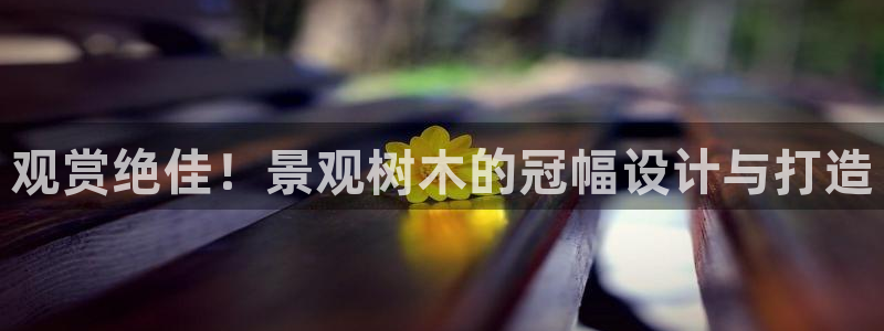 天顺娱乐 53339主e管