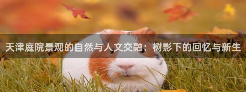 天顺娱乐露土70648