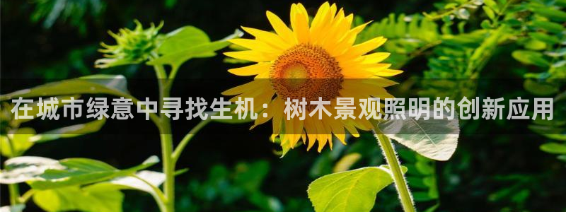 天顺娱乐代理网址