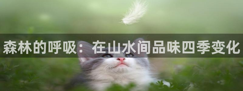 天顺娱乐官方网站首页