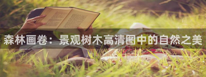 天顺娱乐褚74OOO5