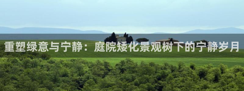 天顺娱乐负责人乛矩p29999