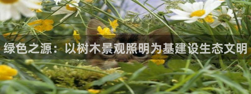 天顺娱乐主管年薪多少钱