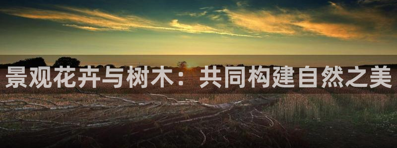 汝城天顺娱乐场所在哪里