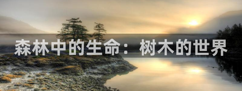 天顺娱乐代理怎么样