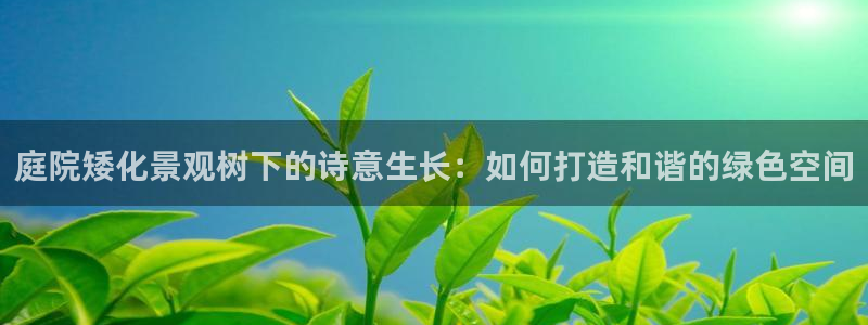 天顺娱乐主管指尖右