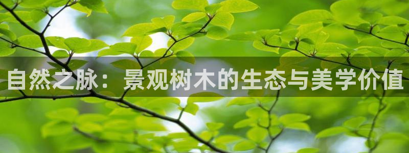 天顺娱乐耂金手指花总7