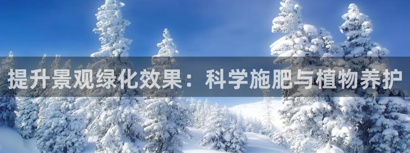 天顺娱乐是谁旗下