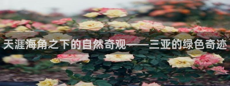 天顺娱乐持333OO