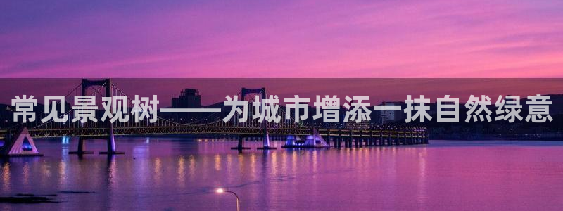 天顺娱乐钾 66 6