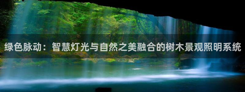 天顺娱乐在88OO57