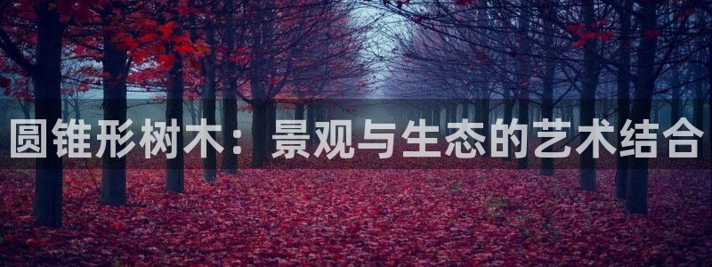 天顺娱乐千v96303