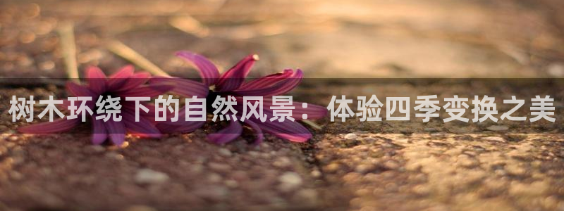 天顺娱乐汾72182