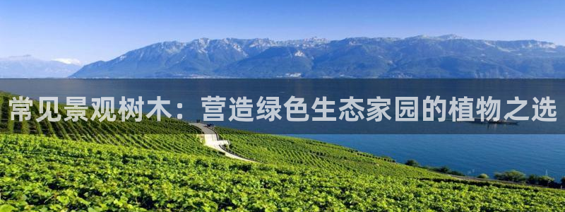 天顺娱乐颗943994